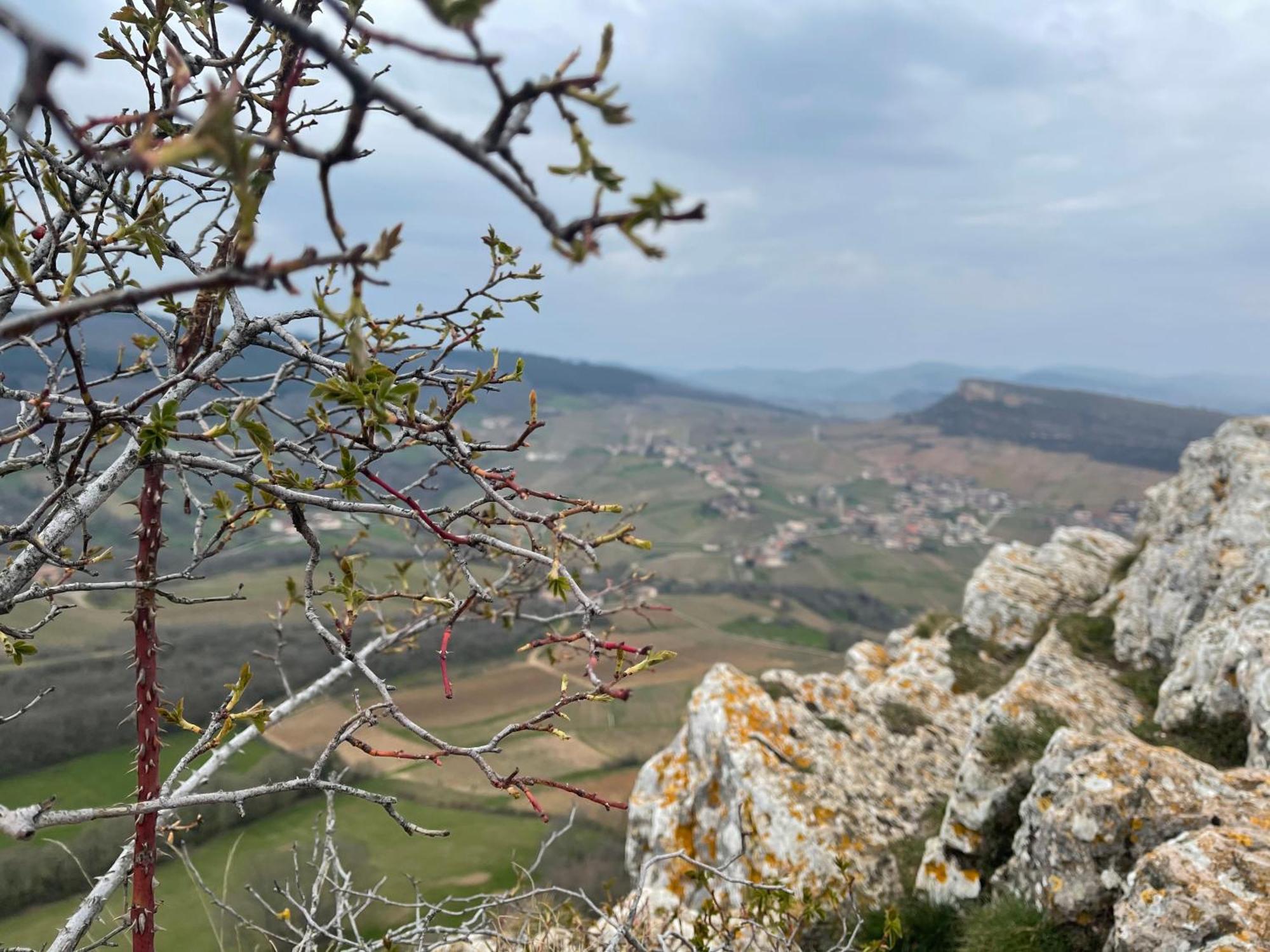 La Tablee Medievale Civrieux-dʼAzergues المظهر الخارجي الصورة